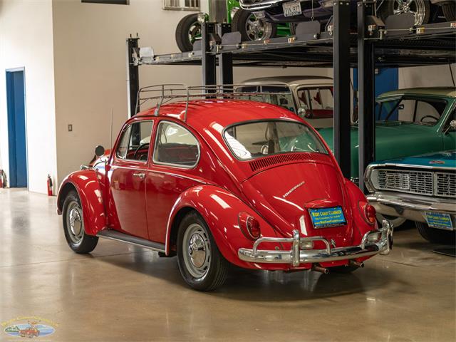 1967 Volkswagen Beetle (CC-2091456) for sale in Torrance, California