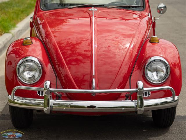 1967 Volkswagen Beetle (CC-2091456) for sale in Torrance, California