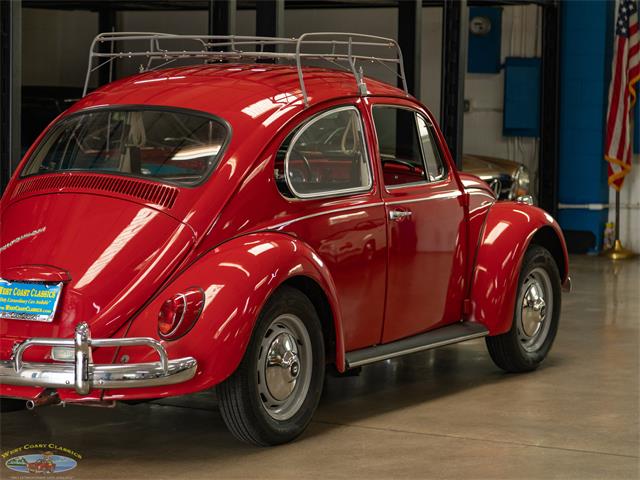 1967 Volkswagen Beetle (CC-2091456) for sale in Torrance, California