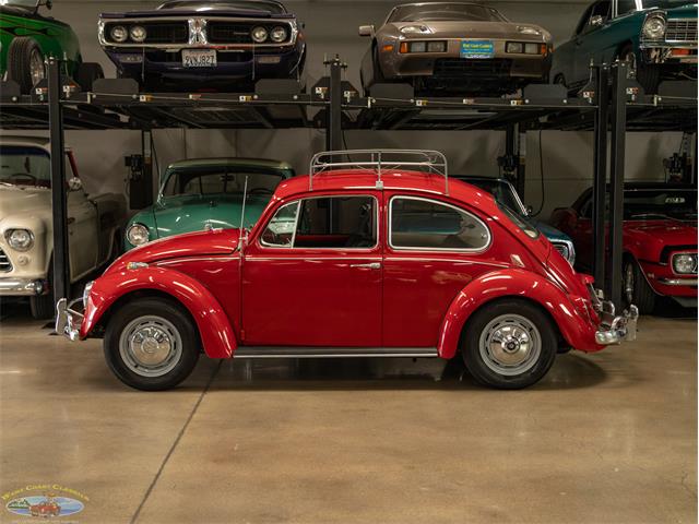 1967 Volkswagen Beetle (CC-2091456) for sale in Torrance, California
