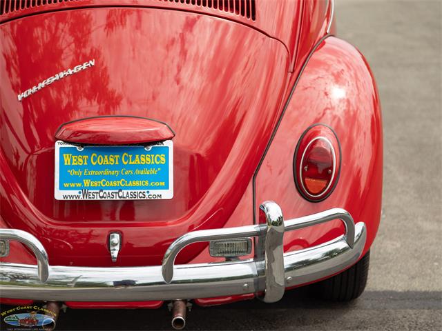 1967 Volkswagen Beetle (CC-2091456) for sale in Torrance, California