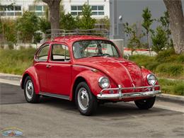 1967 Volkswagen Beetle (CC-2091456) for sale in Torrance, California