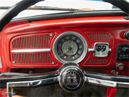 1967 Volkswagen Beetle (CC-2091456) for sale in Torrance, California