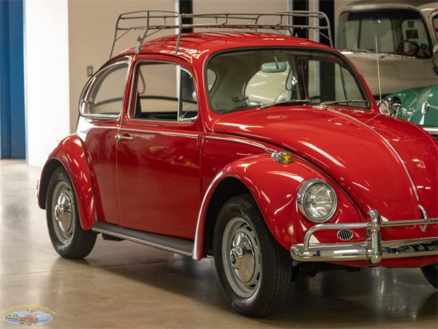1967 Volkswagen Beetle (CC-2091456) for sale in Torrance, California