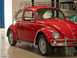 1967 Volkswagen Beetle (CC-2091456) for sale in Torrance, California