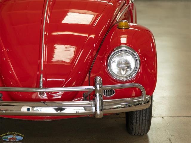 1967 Volkswagen Beetle (CC-2091456) for sale in Torrance, California