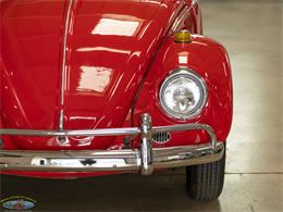 1967 Volkswagen Beetle (CC-2091456) for sale in Torrance, California