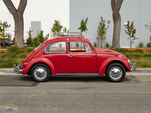 1967 Volkswagen Beetle (CC-2091456) for sale in Torrance, California