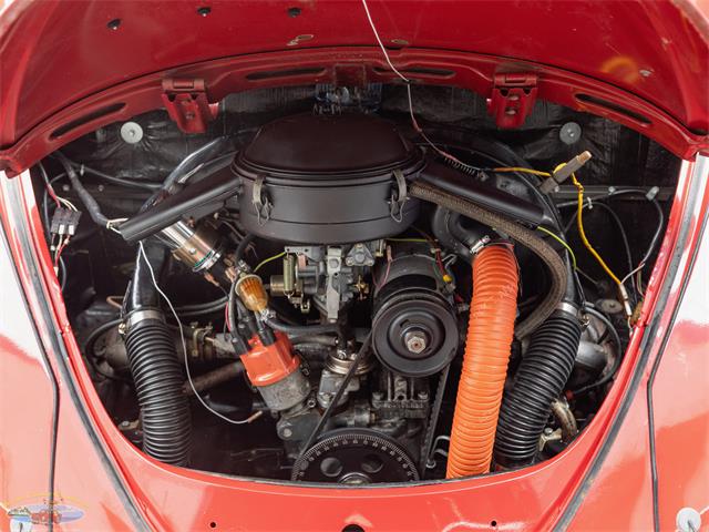 1967 Volkswagen Beetle (CC-2091456) for sale in Torrance, California