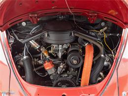 1967 Volkswagen Beetle (CC-2091456) for sale in Torrance, California