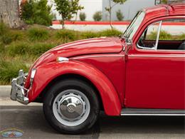 1967 Volkswagen Beetle (CC-2091456) for sale in Torrance, California
