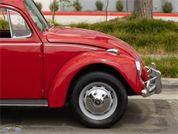 1967 Volkswagen Beetle (CC-2091456) for sale in Torrance, California