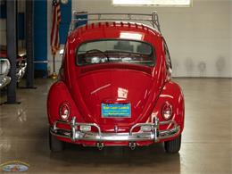 1967 Volkswagen Beetle (CC-2091456) for sale in Torrance, California