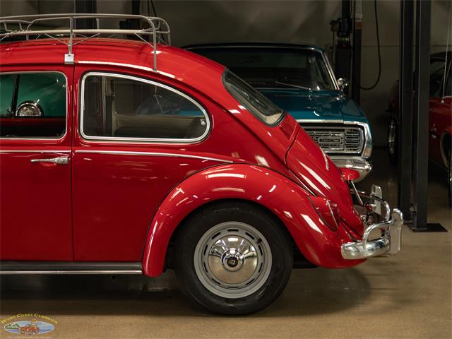1967 Volkswagen Beetle (CC-2091456) for sale in Torrance, California