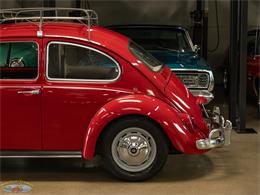 1967 Volkswagen Beetle (CC-2091456) for sale in Torrance, California