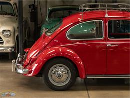1967 Volkswagen Beetle (CC-2091456) for sale in Torrance, California