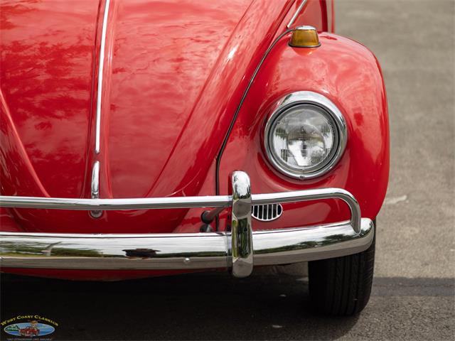 1967 Volkswagen Beetle (CC-2091456) for sale in Torrance, California