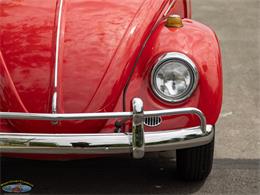 1967 Volkswagen Beetle (CC-2091456) for sale in Torrance, California
