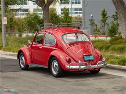 1967 Volkswagen Beetle (CC-2091456) for sale in Torrance, California