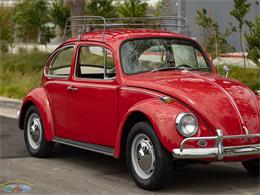 1967 Volkswagen Beetle (CC-2091456) for sale in Torrance, California