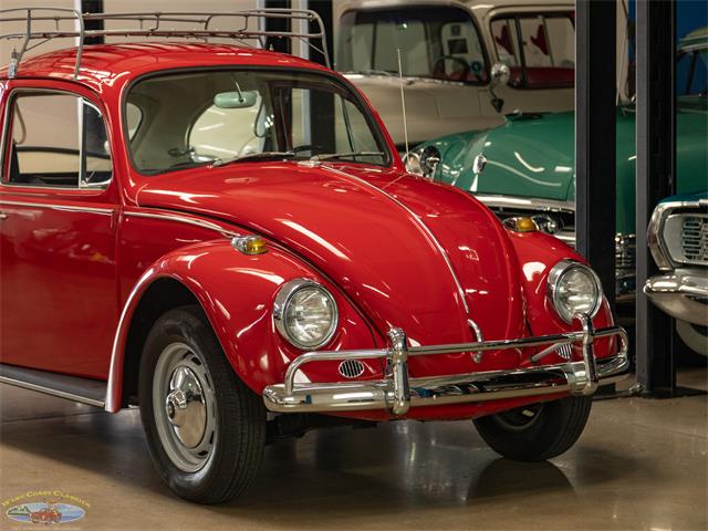 1967 Volkswagen Beetle (CC-2091456) for sale in Torrance, California