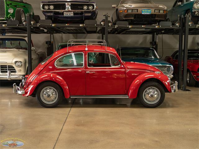 1967 Volkswagen Beetle (CC-2091456) for sale in Torrance, California