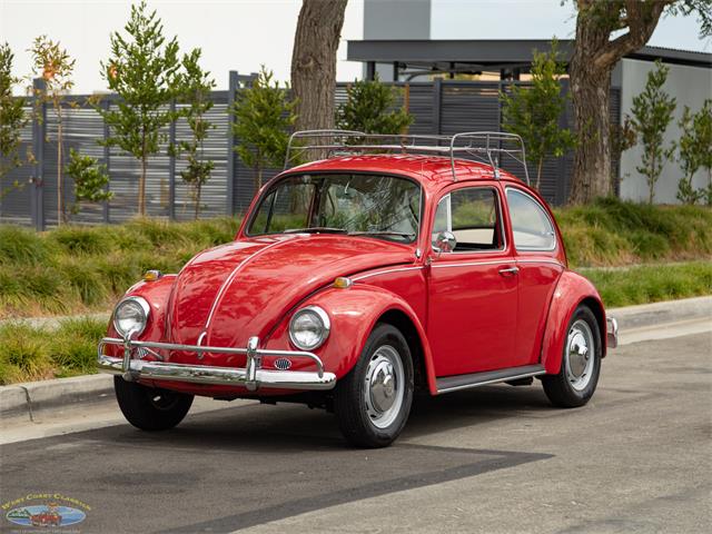 1967 Volkswagen Beetle (CC-2091456) for sale in Torrance, California