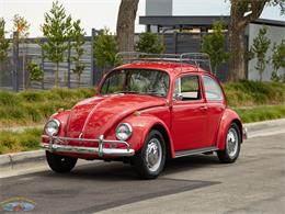 1967 Volkswagen Beetle (CC-2091456) for sale in Torrance, California