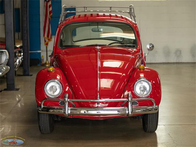 1967 Volkswagen Beetle (CC-2091456) for sale in Torrance, California