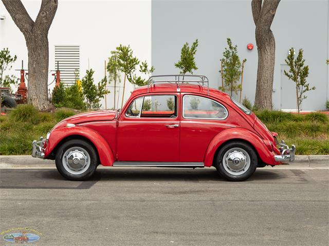 1967 Volkswagen Beetle (CC-2091456) for sale in Torrance, California