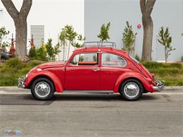 1967 Volkswagen Beetle (CC-2091456) for sale in Torrance, California