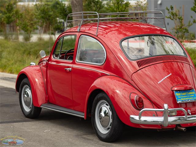 1967 Volkswagen Beetle (CC-2091456) for sale in Torrance, California