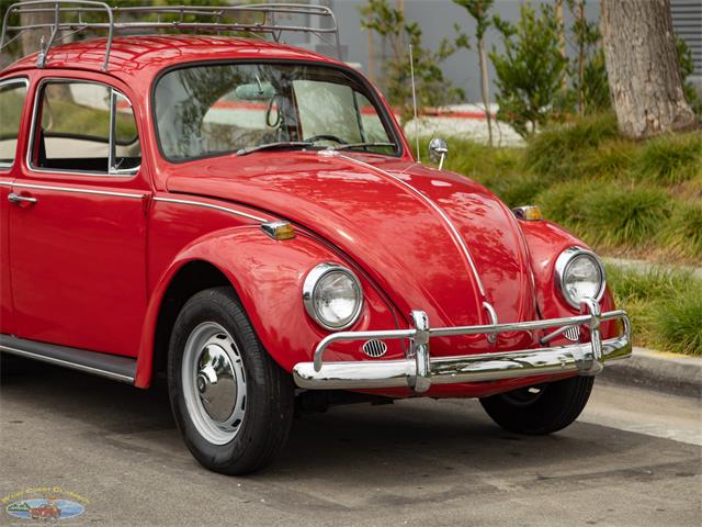1967 Volkswagen Beetle (CC-2091456) for sale in Torrance, California