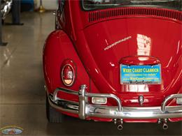 1967 Volkswagen Beetle (CC-2091456) for sale in Torrance, California