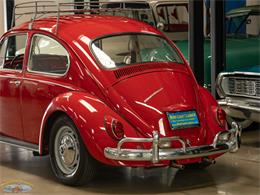 1967 Volkswagen Beetle (CC-2091456) for sale in Torrance, California