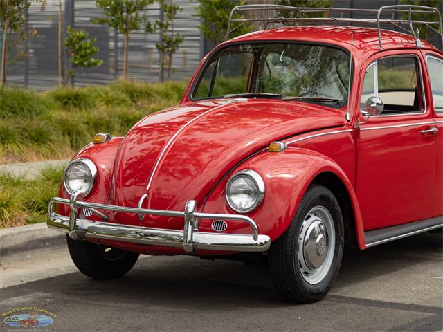 1967 Volkswagen Beetle (CC-2091456) for sale in Torrance, California