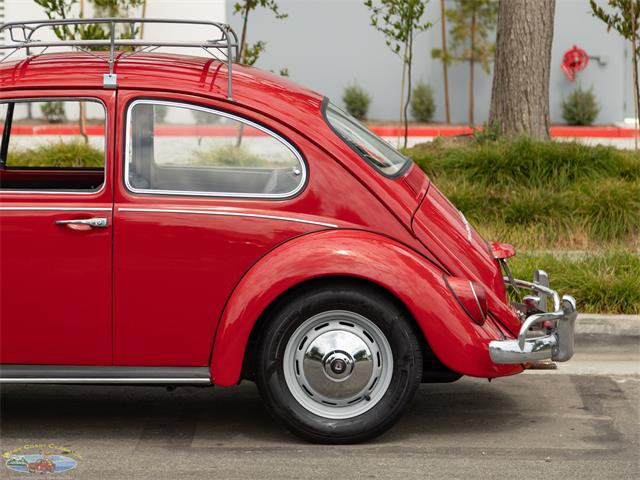 1967 Volkswagen Beetle (CC-2091456) for sale in Torrance, California