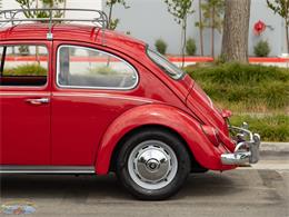 1967 Volkswagen Beetle (CC-2091456) for sale in Torrance, California