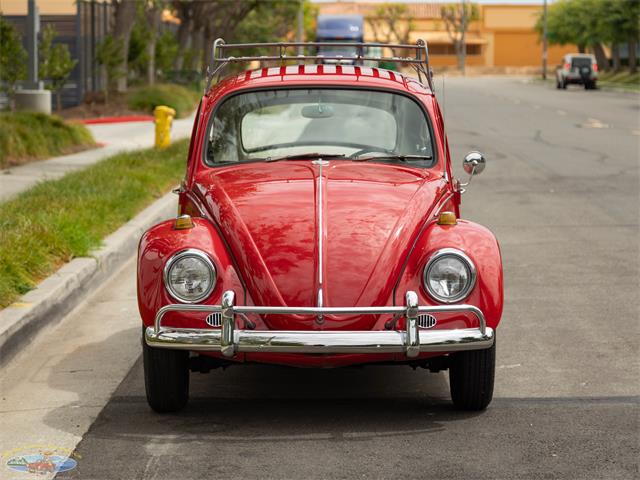 1967 Volkswagen Beetle (CC-2091456) for sale in Torrance, California