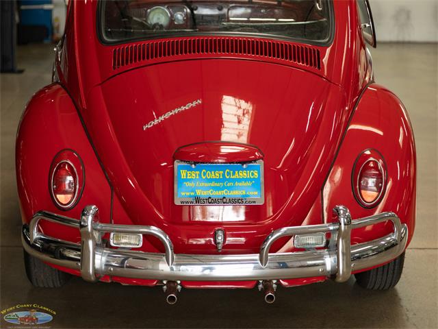 1967 Volkswagen Beetle (CC-2091456) for sale in Torrance, California