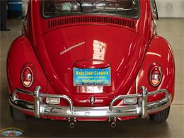 1967 Volkswagen Beetle (CC-2091456) for sale in Torrance, California