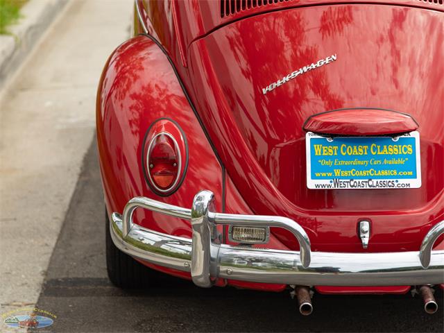 1967 Volkswagen Beetle (CC-2091456) for sale in Torrance, California
