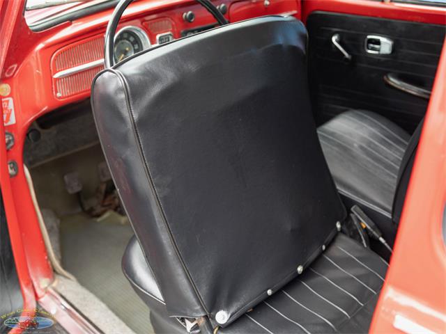 1967 Volkswagen Beetle (CC-2091456) for sale in Torrance, California