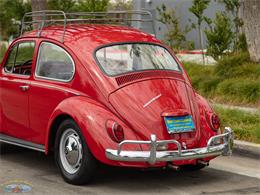 1967 Volkswagen Beetle (CC-2091456) for sale in Torrance, California