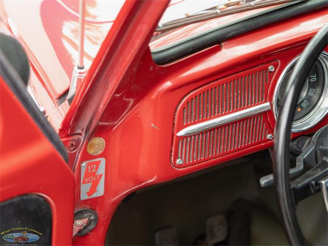 1967 Volkswagen Beetle (CC-2091456) for sale in Torrance, California