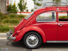 1967 Volkswagen Beetle (CC-2091456) for sale in Torrance, California
