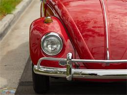 1967 Volkswagen Beetle (CC-2091456) for sale in Torrance, California