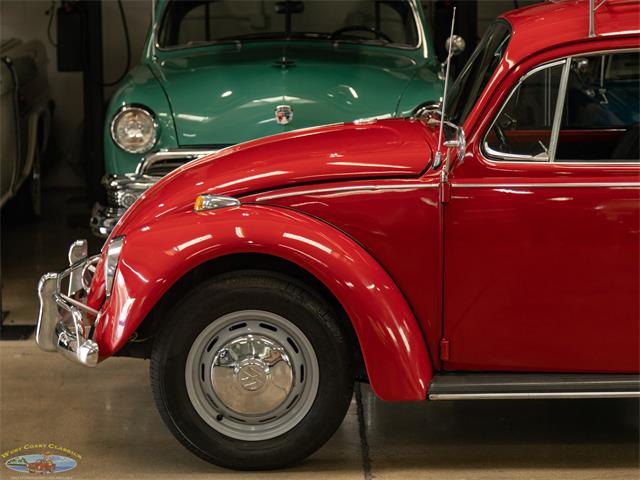 1967 Volkswagen Beetle (CC-2091456) for sale in Torrance, California