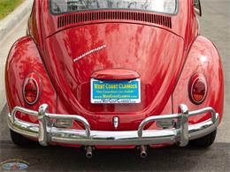 1967 Volkswagen Beetle (CC-2091456) for sale in Torrance, California