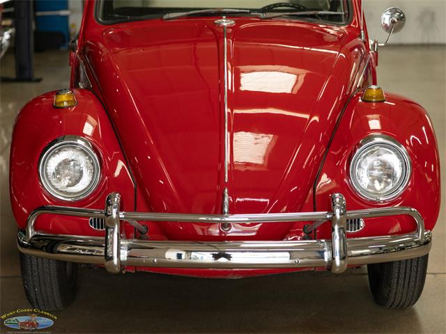 1967 Volkswagen Beetle (CC-2091456) for sale in Torrance, California
